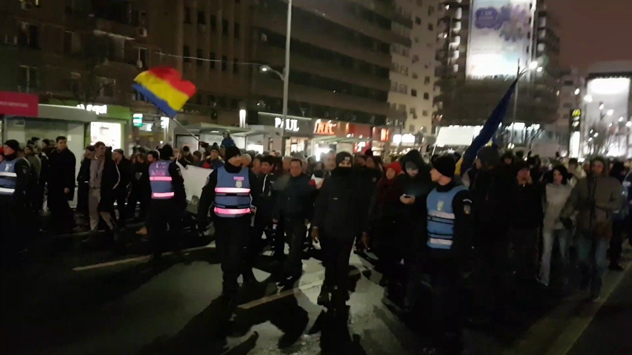 Transportatorii COTAR protestează în fața Guvernului