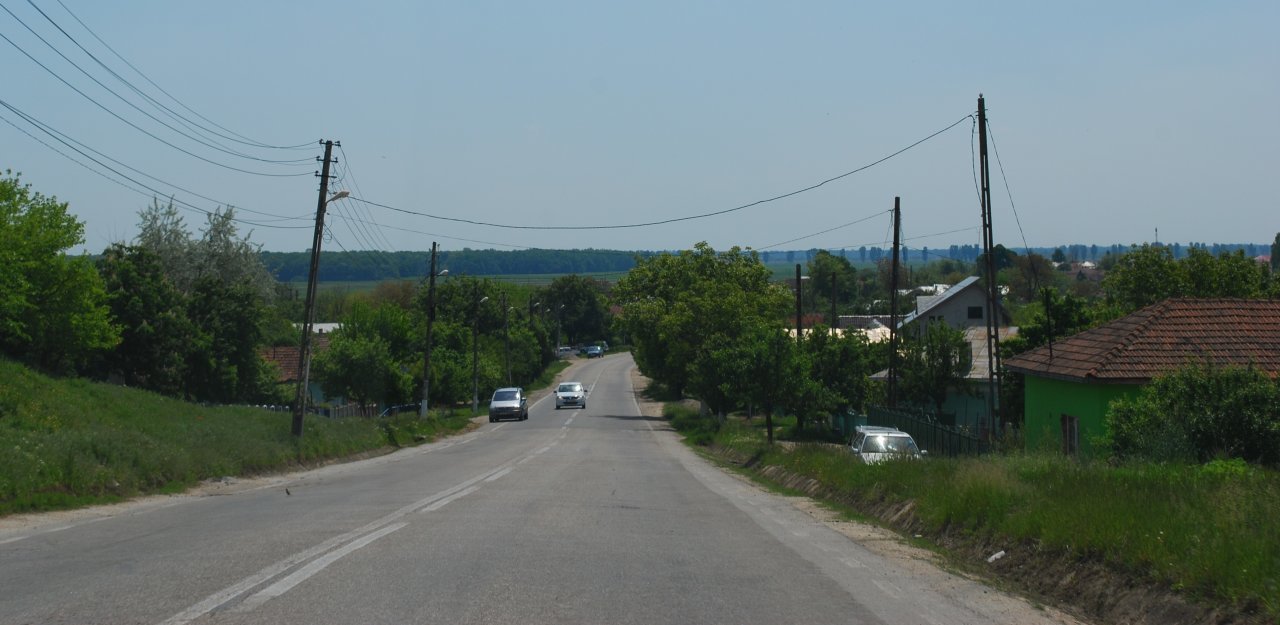 Circulație închisă pe DN 64 la Găneasa – Pleșoiu
