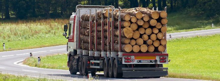 Transportul și depozitarea lemnului. Ce utilaje sunt de ajutor?