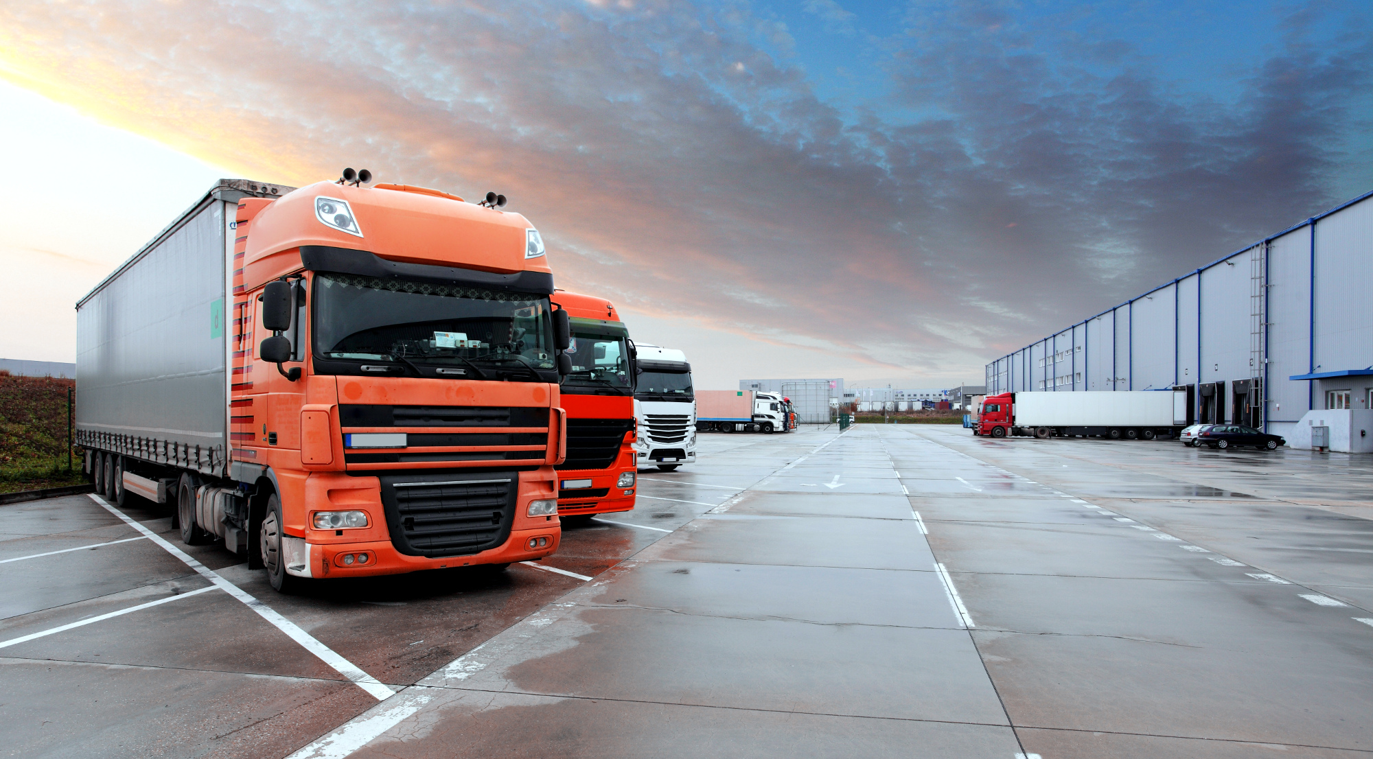 Germania introduce obligații noi pentru personalul din sectorul de transport