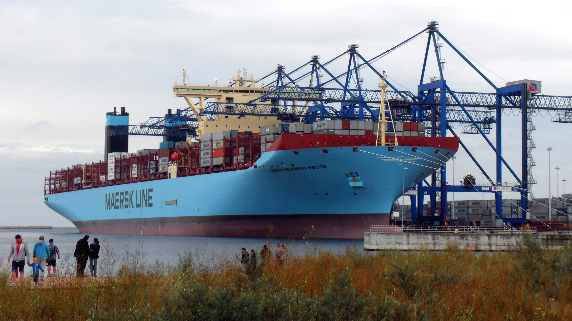 Blockchain w transporcie i logistyce. Zobacz, jak platforma TradeLens pomaga spedytorom, logistykom i celnikom
