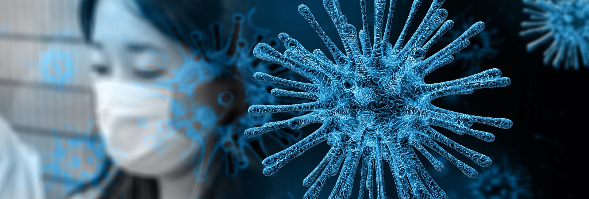 Coronavirus hits the transport – sea freight blocked by closed ports, air freight prices increase by over 100%