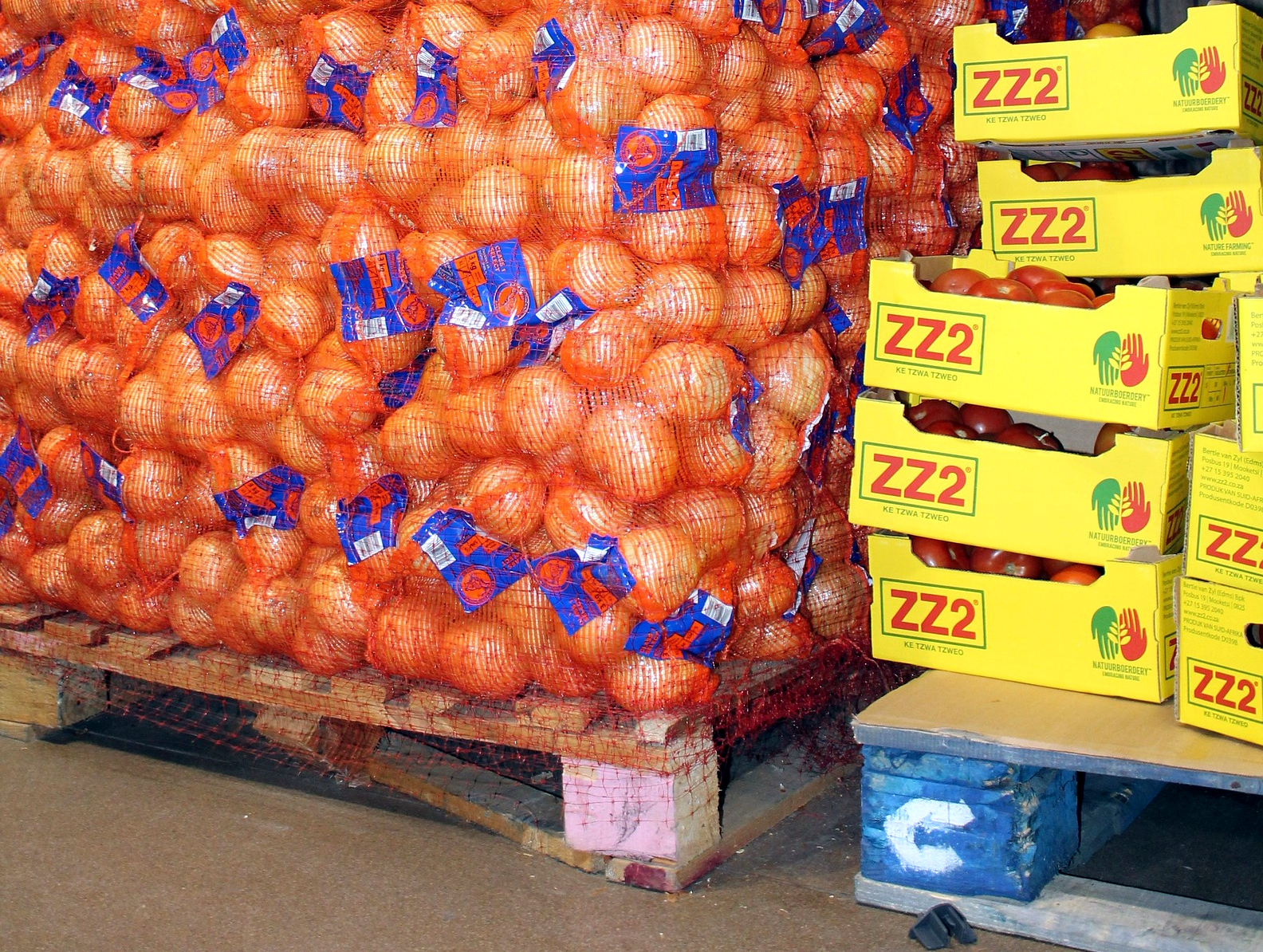 Deutscher Fruchthandelsverband warnt vor leeren Regalen mit Obst und Gemüse