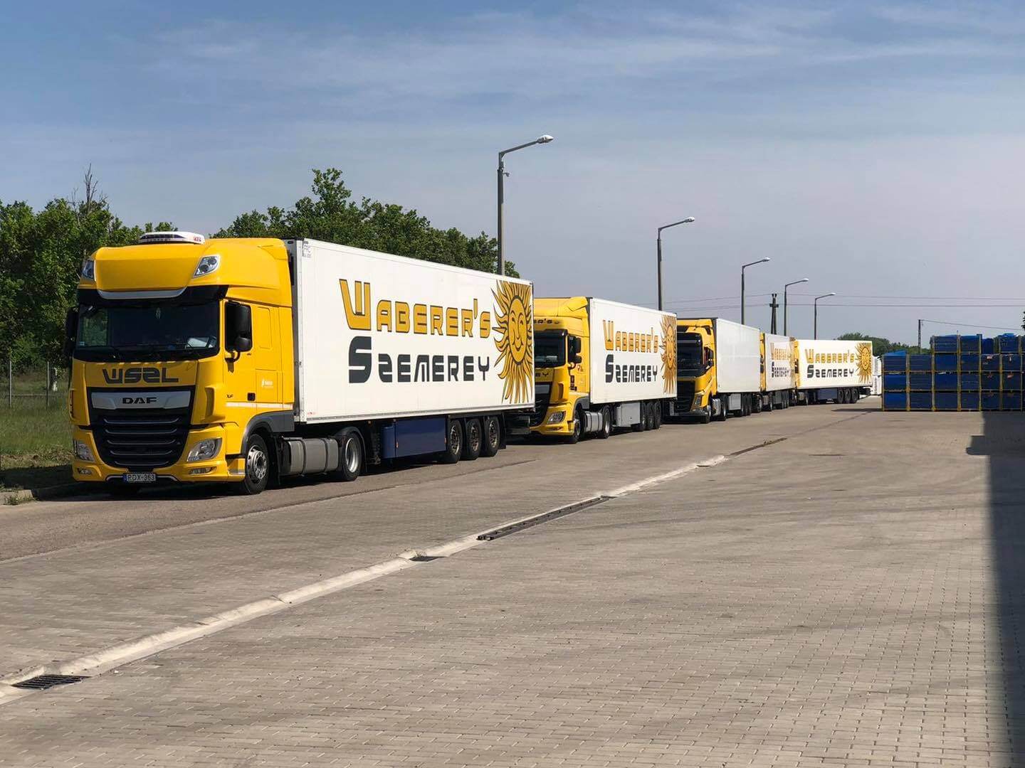 Újabb hároméves megállapodást kötött a WSZL és a Tesco