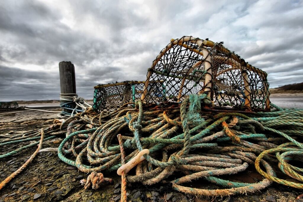 Brexiteer shellfish wholesaler who spent £40,000 on Brexit preparations now „ready to jack it in”