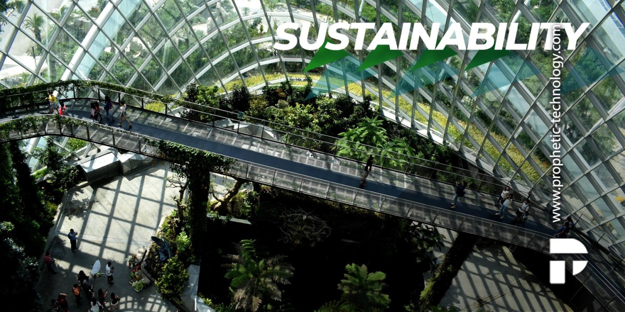 Circular Economy, the sustainability effort