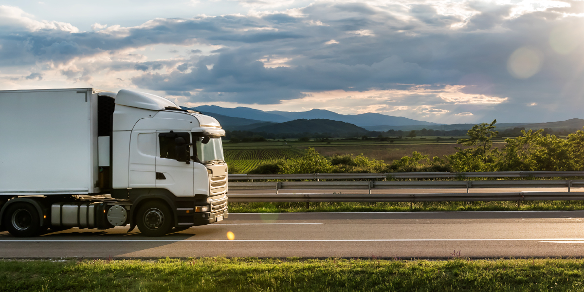 Automatizarea transportului cu ajutorul sistemelor TMS. 5 aspecte pe care fiecare transportator ar trebui să le cunoască