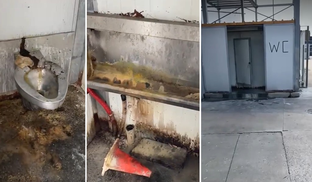 Undorító vécék és sofőrhiány: a járművezetők az ok vagy az áldozatok?