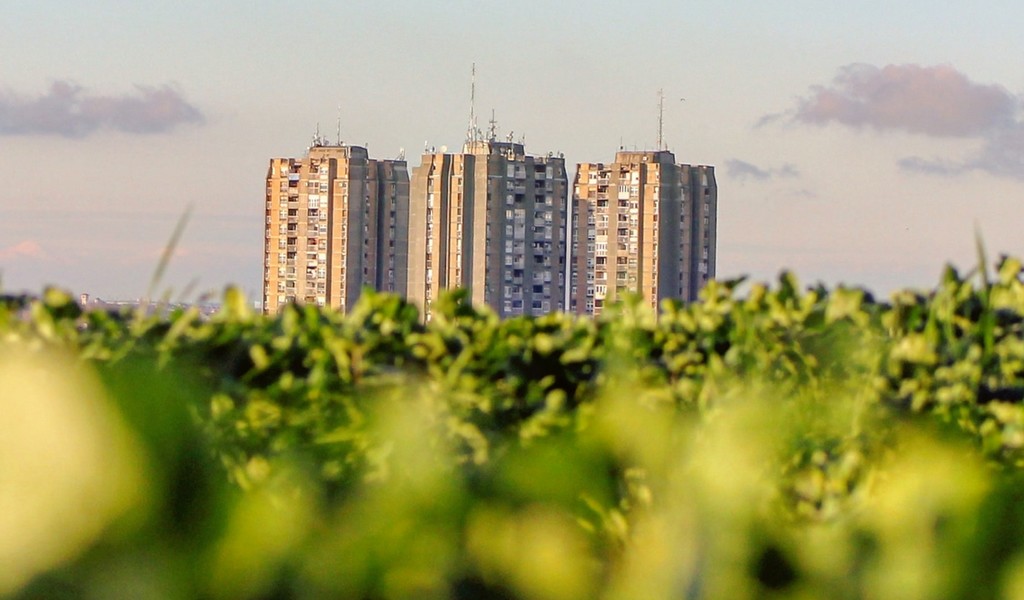 The biggest sustainable trends shaping 2021 and years to come