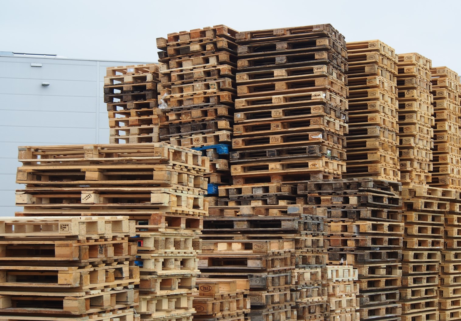 Un mic transportator a câștigat un proces împotriva unei importante case de expediții, care l-a acuzat că ar fi „pierdut” 5.000 de paleți