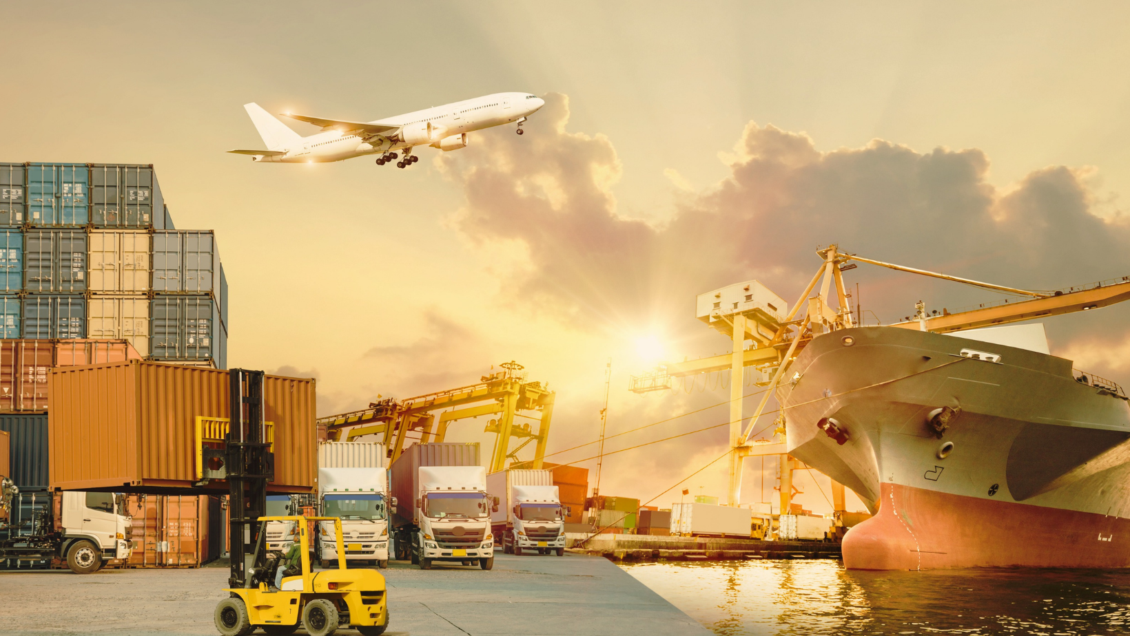 Logistics Coffee Talks | Podcast #1, invitat Decebal Popescu, Senior Consultant la Transport Academy