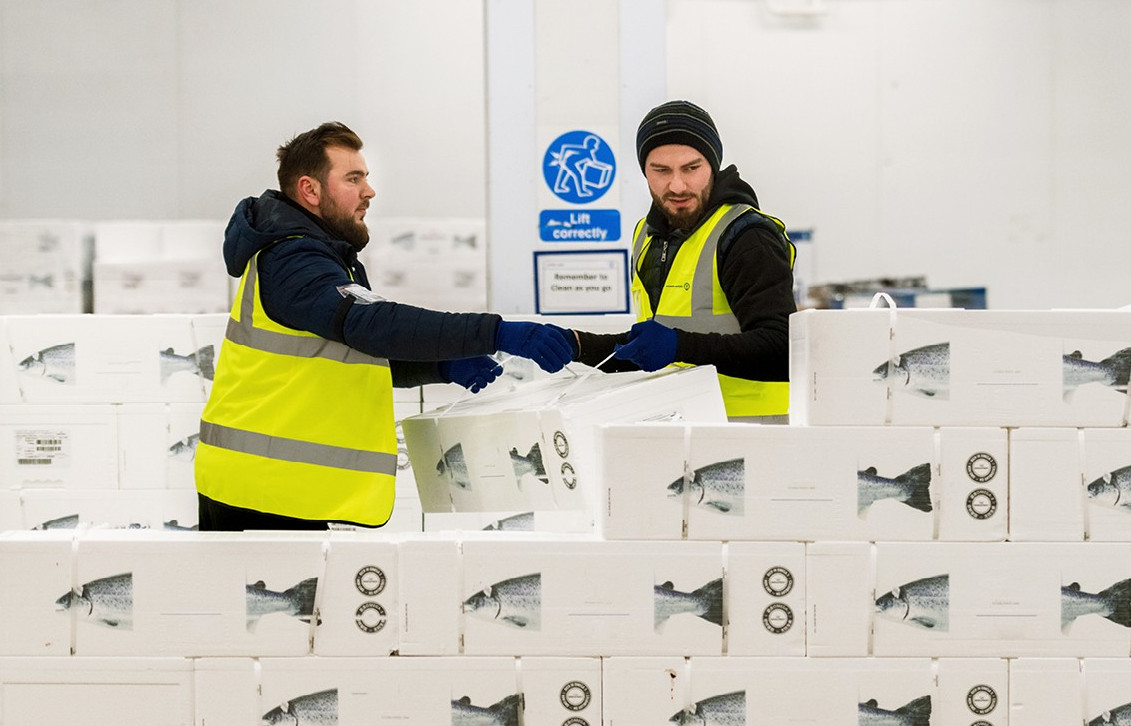 Kuehne+Nagel przejmuje norweską spedycję. Umocni pozycję w transporcie ryb i owoców morza