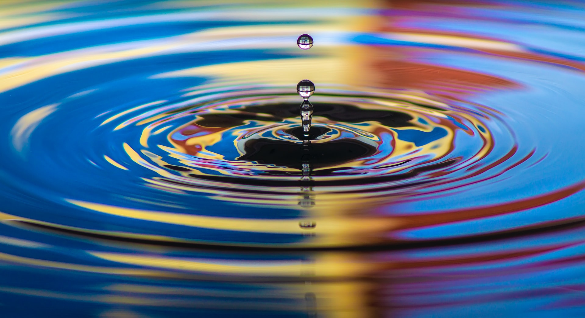 The Supply Chain established versions in the face of disruption.