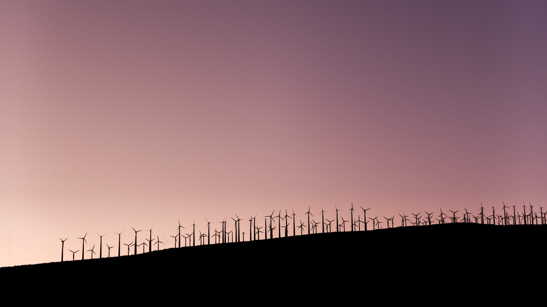 Making a Sustainable Process
