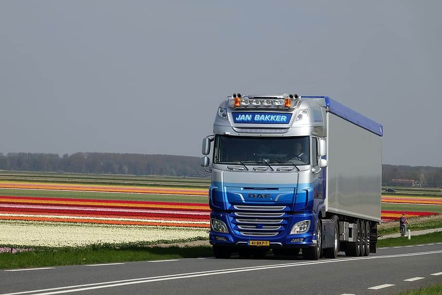 Dutch hauliers ready to save UK’s supply crisis – if cabotage rules are relaxed