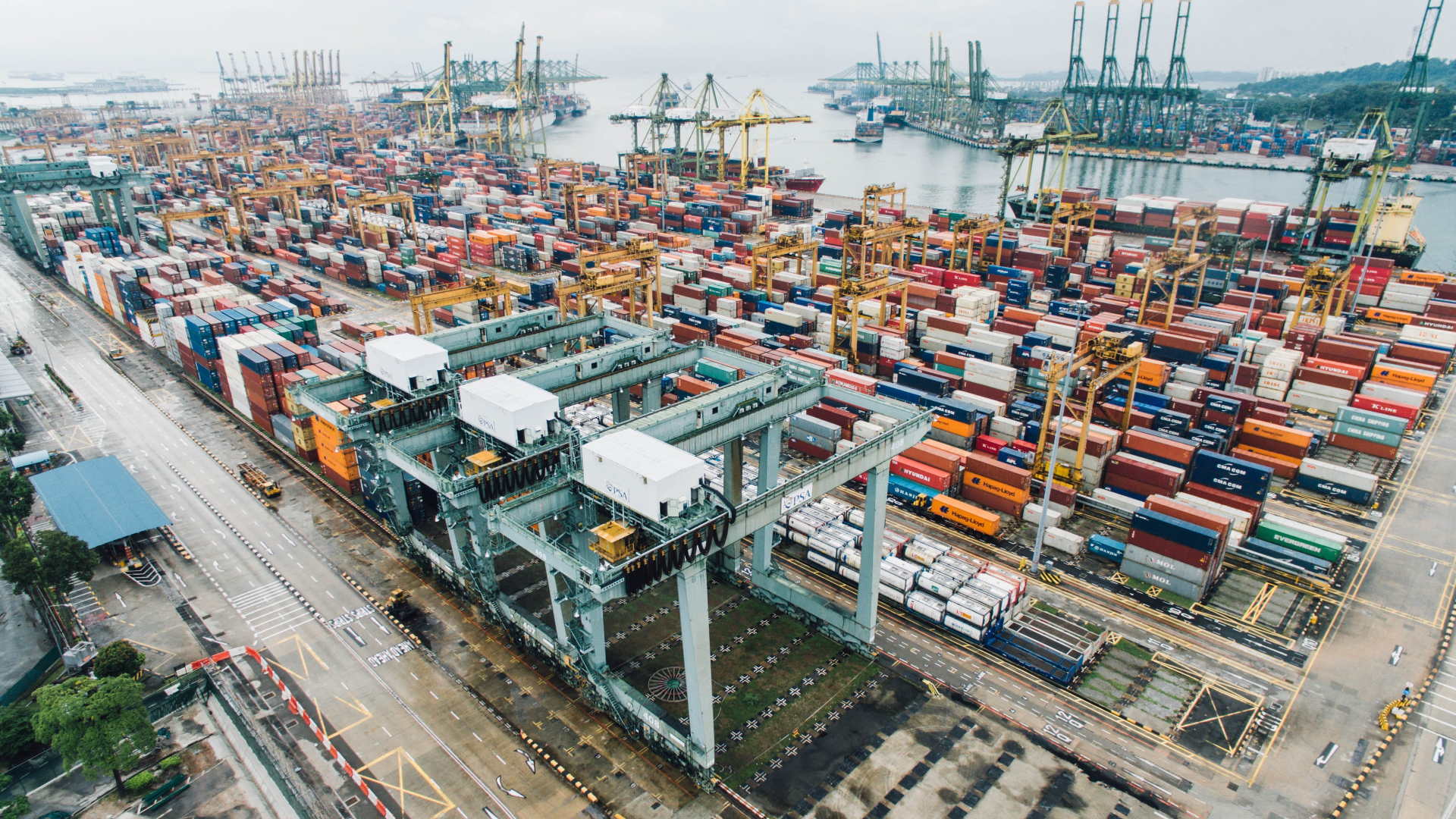 Transparent and digital: The way efficient supply chain management works