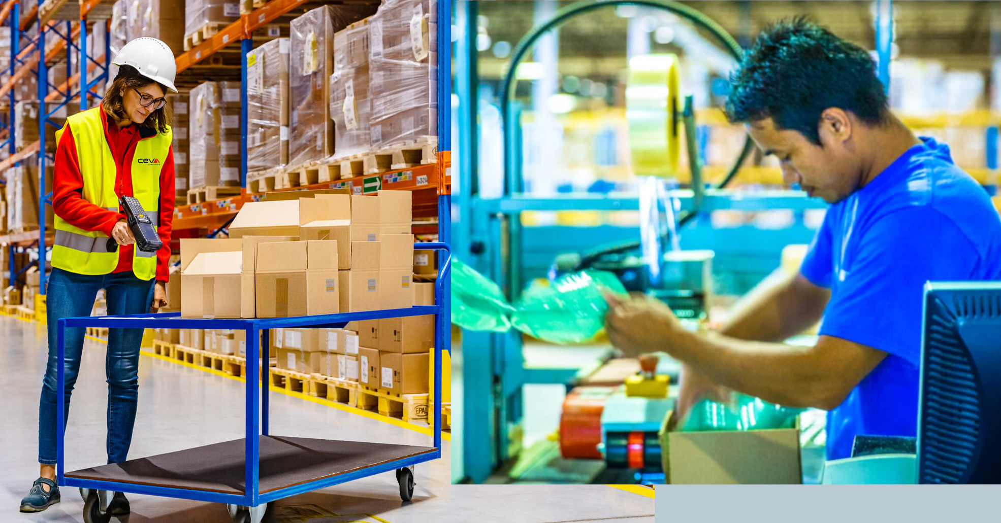 A CEVA átveszi az omnichannel szolgáltatások operátorát és a csúcsra tör